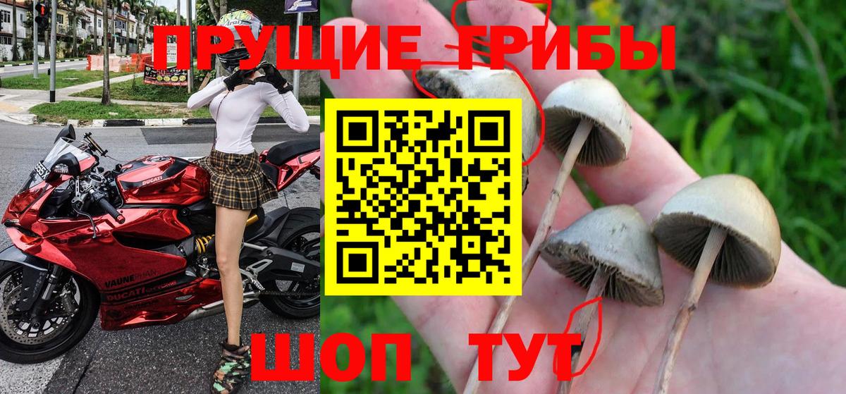 Псилоцибиновые грибы Magic Shrooms Луховицы