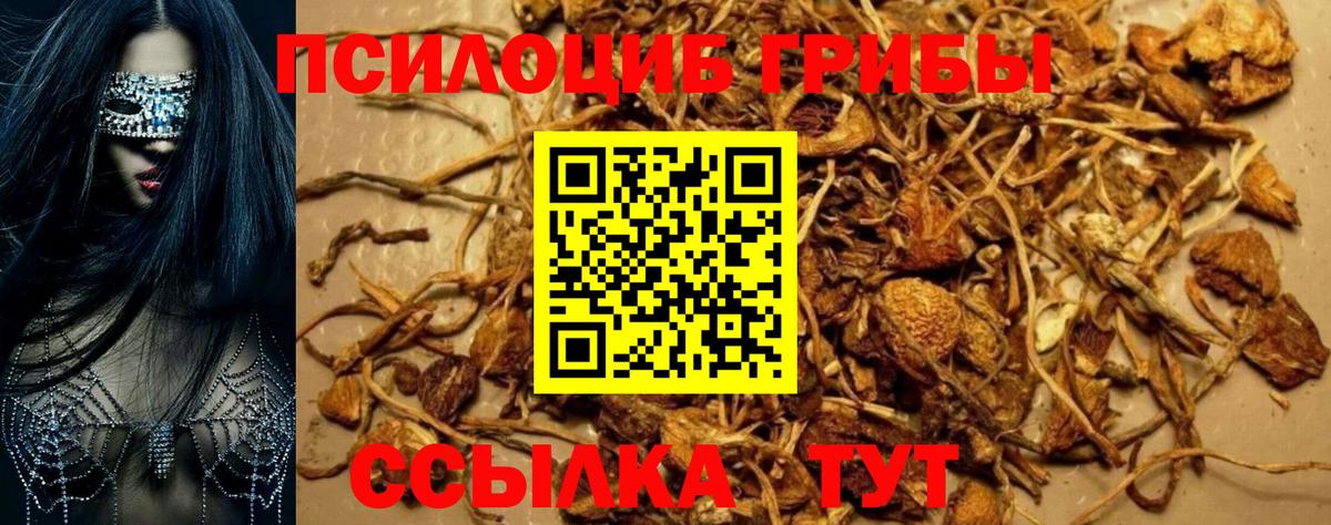 Псилоцибиновые грибы Cubensis  Псилоцибиновые грибы GOLDEN TEACHER  Луховицы  Вход с VPN 
